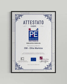 Framed certificate with decorative border on a light gray background